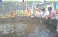 Kegiatan Temu Lapang Percontohan Budidaya Ikan di Kec. Kota Baru Kota Jambi