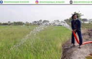 Dampak Kekeringan dan Antisipasi Petani Kelurahan Tanjung Johor Kecamatan Pelayangan Kota Jambi Dalam Mengantisipasi Gagal Panen